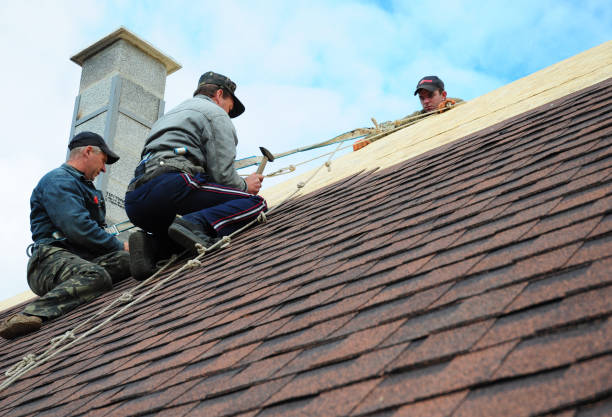 Roof Waterproofing Services in San Martin, CA